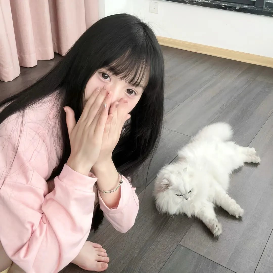 我的师兄太强了